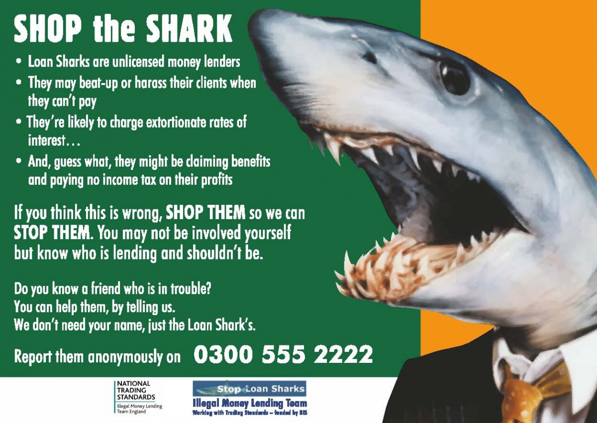 shop a shark A5.pdf Dec 2015
